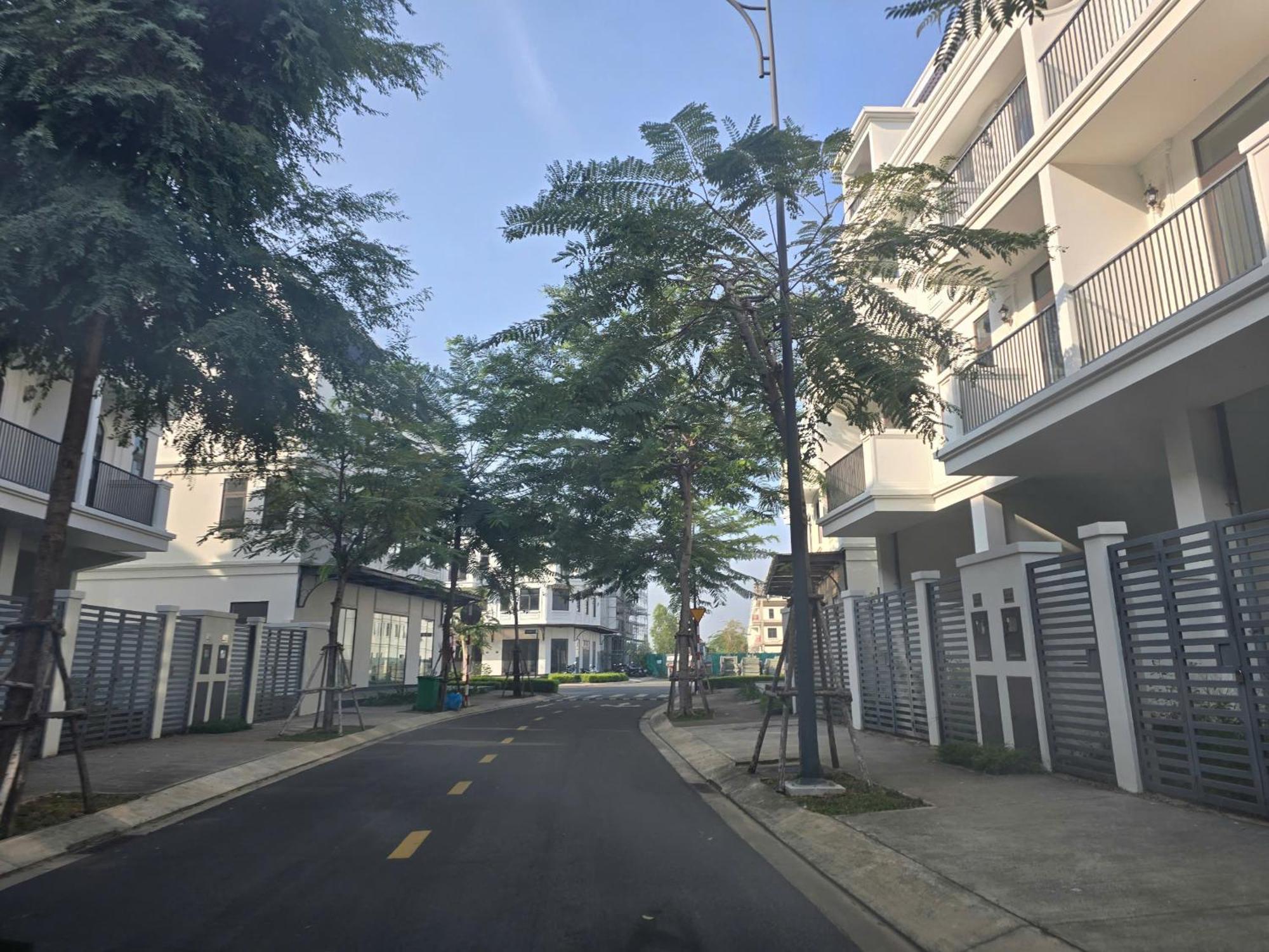 Zozo House - Homestay Bai Sau 头顿 客房 照片